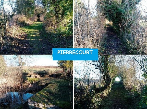 Circuit de Pierrecourt